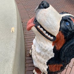 Dog Fountain - Bernese mountain dog
