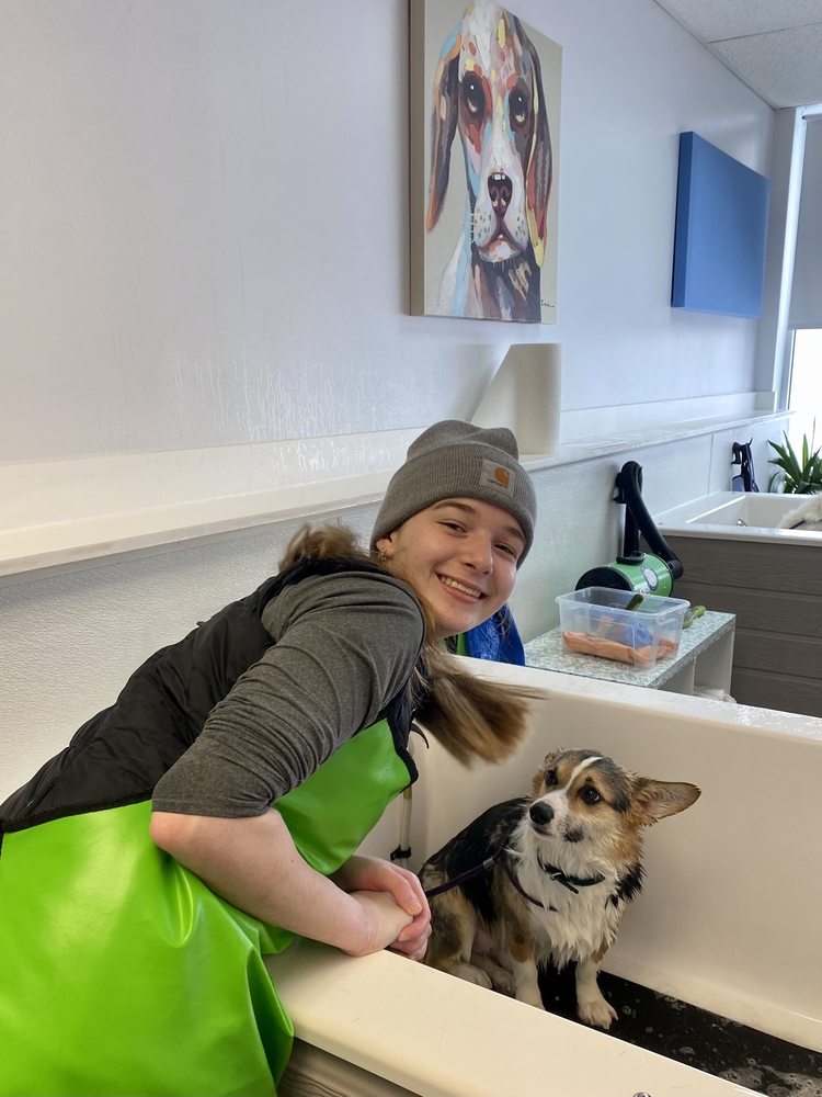 THAT DIRTY DOG Updated October 2024 48 Photos & 15 Reviews 577