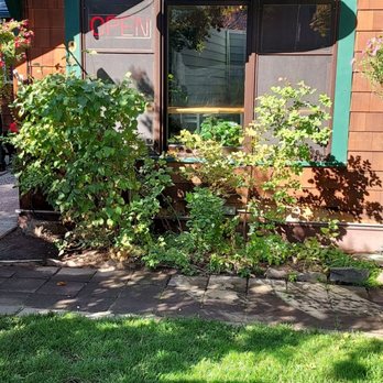 Watershed Coffee Roasters - So Cute! - Coffee & Tea Near Me - Bend, Oregon