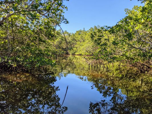 J.N. "Ding" Darling National Wildlife Refuge Visitor and Education Center by null