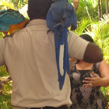 Jungle Island - nasty jungle island employee gave me 2 seconds to pose with a bird then rushed us off even after I told him I didn't get the picture. - Amusement Parks Near Me - Miami, Florida