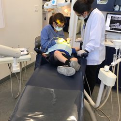 Nazanine Barcohana, DDS