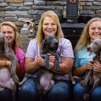 White River Kennels - Pet Breeders Near Me - Shoals, Indiana White River Kennels - Pet Breeders Near Me - Shoals, Indiana