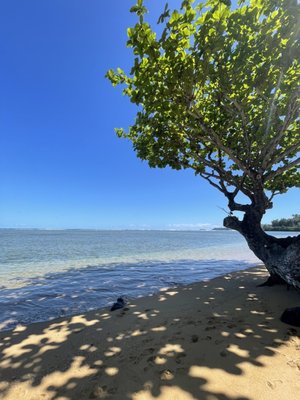 Anini Beach by null