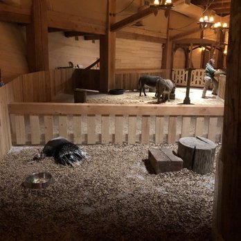 Ark Encounter - Live animal area - Museums Near Me - Williamstown, Kentucky