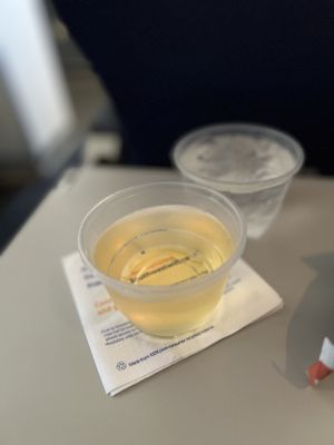 Southwest Airlines by null