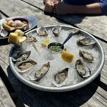 Hog Island Oyster - Oysters - Seafood Near Me - Marshall, California Hog Island Oyster - Oysters - Seafood Near Me - Marshall, California