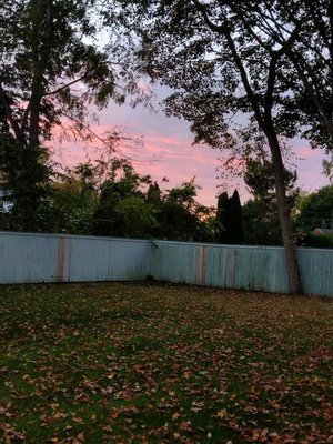 Scottish Dave's Pub by null