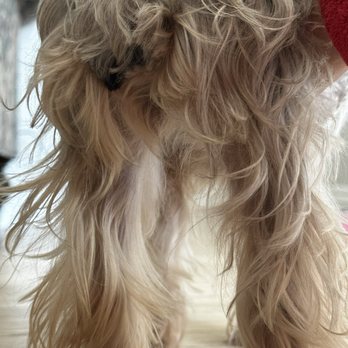 Oops Pet - Pet Groomers Near Me - Irvine, California Oops Pet - Pet Groomers Near Me - Irvine, California