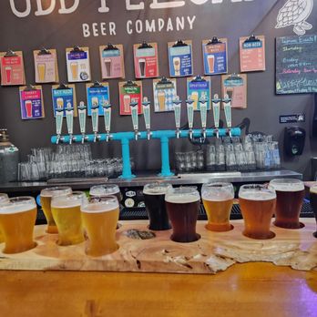 Odd Pelican Beer Company - The 12 beer taster.... go for it! - Brewpubs Near Me - Freeport, Florida