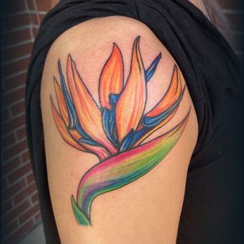 Ink Sanctum - Tattoo Near Me - Maple Grove, Minnesota