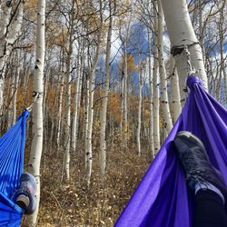 Park City Yoga Adventures - Forest meditation in silks