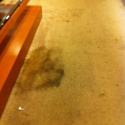 Belk - The carpet all over the store looks like this