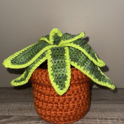 Twisted Stitch - Crochet plant in pot