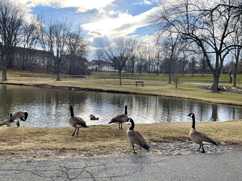 BEACHLAND PARK Updated September 2024 65 Photos 847 S Quaker Ln