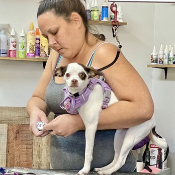 Paws Place Grooming - Dolci's first nail trim at a shop. Thanks Nicole! - Pet Groomers Near Me - Lakeside, California Paws Place Grooming - Dolci's first nail trim at a shop. Thanks Nicole! - Pet Groomers Near Me - Lakeside, California