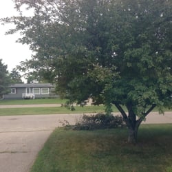 Western Estates - Trees!
