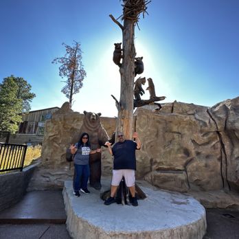 Bearizona - Zoos Near Me - Williams, Arizona Bearizona - Zoos Near Me - Williams, Arizona