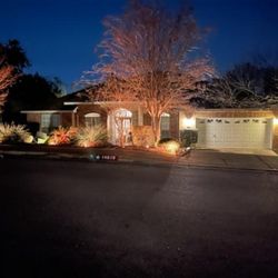 Emerald Yards - Yes! Emerald Yards installs landscape lighting
