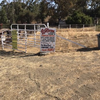 Joan's Farm & Pumpkin Patch - Pumpkin Patches Near Me - Livermore, California