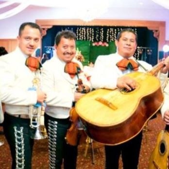 Mariachi Tequila Express - mariachitequielaexpress - mariachis vestidos de blanco - Musicians Near Me Mariachi Tequila Express - mariachitequielaexpress - mariachis vestidos de blanco - Musicians Near Me