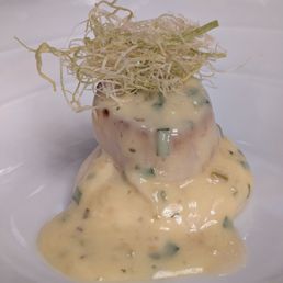 Sea scallop Sea scallop