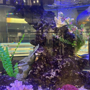 UCI Health - My lovely fish tank - Medical Centers Near Me - Orange, California UCI Health - My lovely fish tank - Medical Centers Near Me - Orange, California