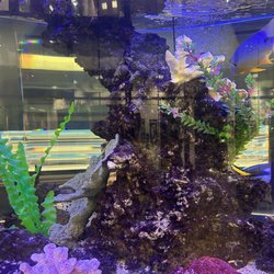 UCI Health - My lovely fish tank