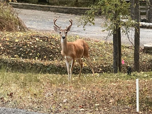 Holly Lake Ranch Association Offices