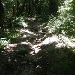 Green Hill Park - Short hiking trail