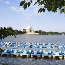 Tidal Basin Paddle Boats