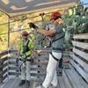 Catalina Zip Line Eco Tour gift card