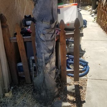 Louis Tree Service - Tree Services Near Me