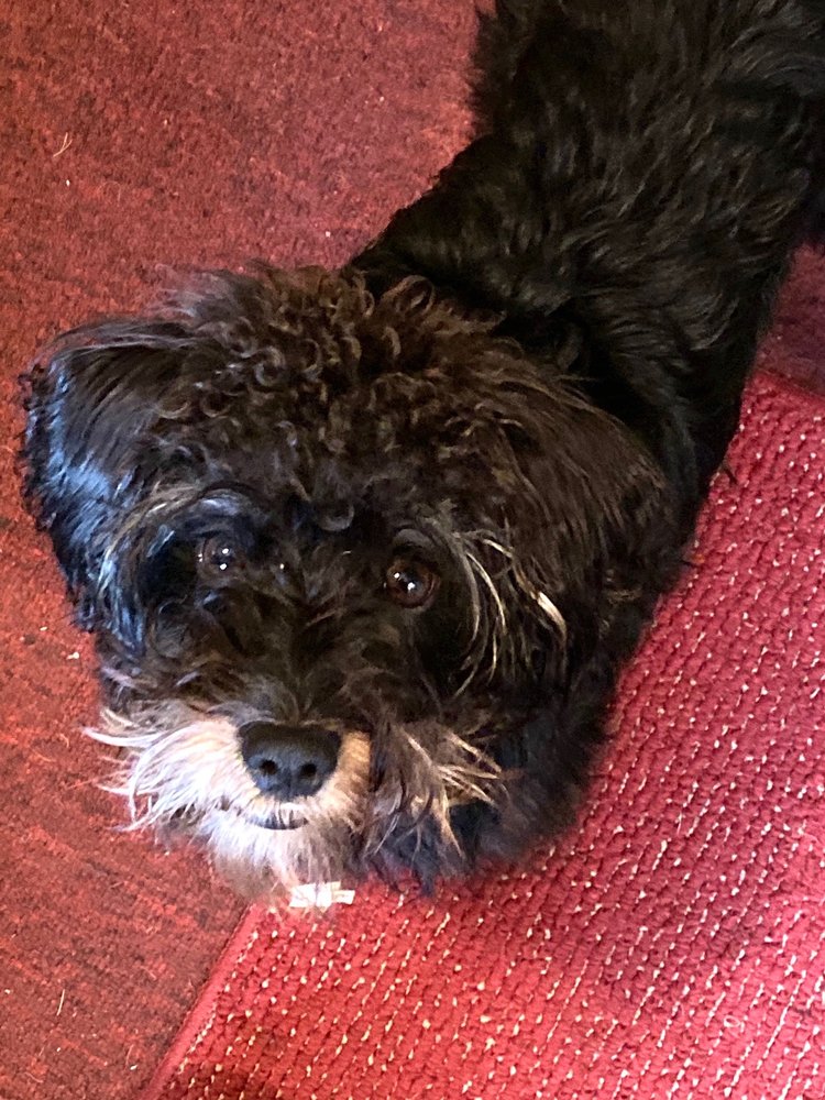 WESTLAND DOG FOOD Updated September 2024 14 Reviews 37687 Ford Rd