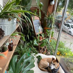 Fells Point Cultivated Creations