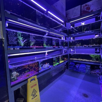 Most Valuable Pets - Pet Stores Near Me - Lexington, Kentucky