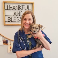 Royse City Veterinary Hospital