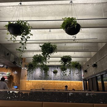 Dando La Brasa - Exposed concrete and modern decor - Salad Near Me - Miami, Florida
