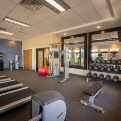 Hampton Inn & Suites Binghamton/Vestal - Health club  fitness center  gym