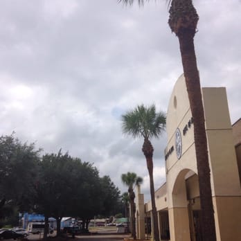 Crews Tree Service - Palms in lake city - Tree Services Near Me Crews Tree Service - Palms in lake city - Tree Services Near Me