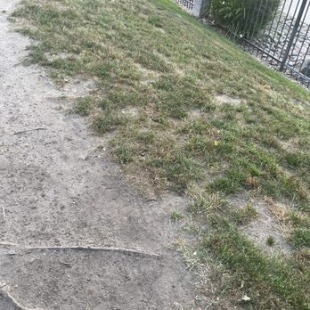Vista Promenade Apartments - Dead grass all over. Lack of care - Apartments Near Me - Temecula, California Vista Promenade Apartments - Dead grass all over. Lack of care - Apartments Near Me - Temecula, California