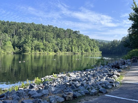 Lake Ouachita State Park by null