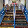 Photo of Cta Pink Line