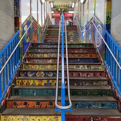 Cta Pink Line