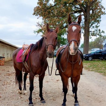 Emberwood Equestrian - Horseback Riding Near Me - Plain City, Ohio