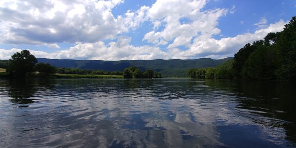 Downriver Canoe Company by null