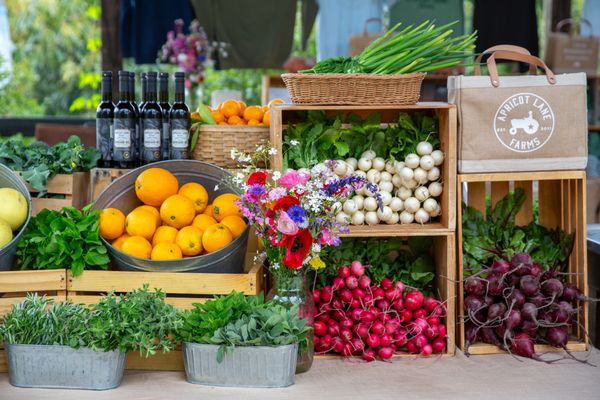 Apricot Lane Farms by null