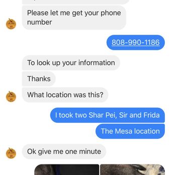 Julian's Pet Grooming - Pet Sitting Near Me - El Paso, Texas Julian's Pet Grooming - Pet Sitting Near Me - El Paso, Texas