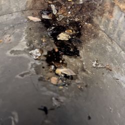 Tom's Air Duct And Dryer Vent Cleaning