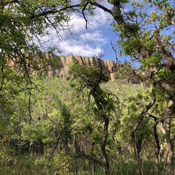 Sugarite Canyon State Park - Ponderosa Trail